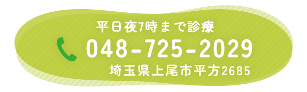 TEL: 048-725-2029