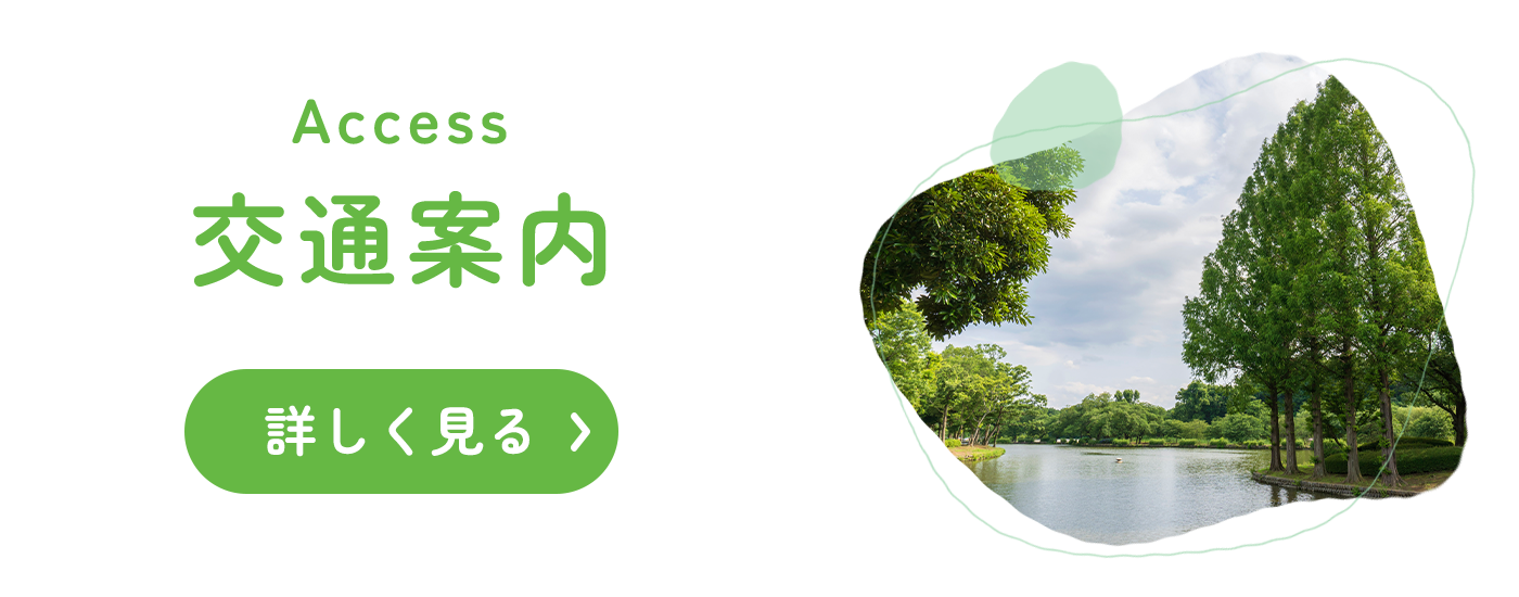交通案内